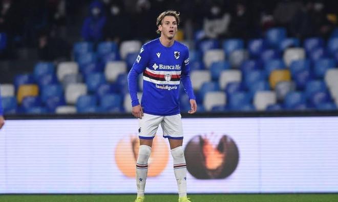 马菲奥与维 马菲奥与维