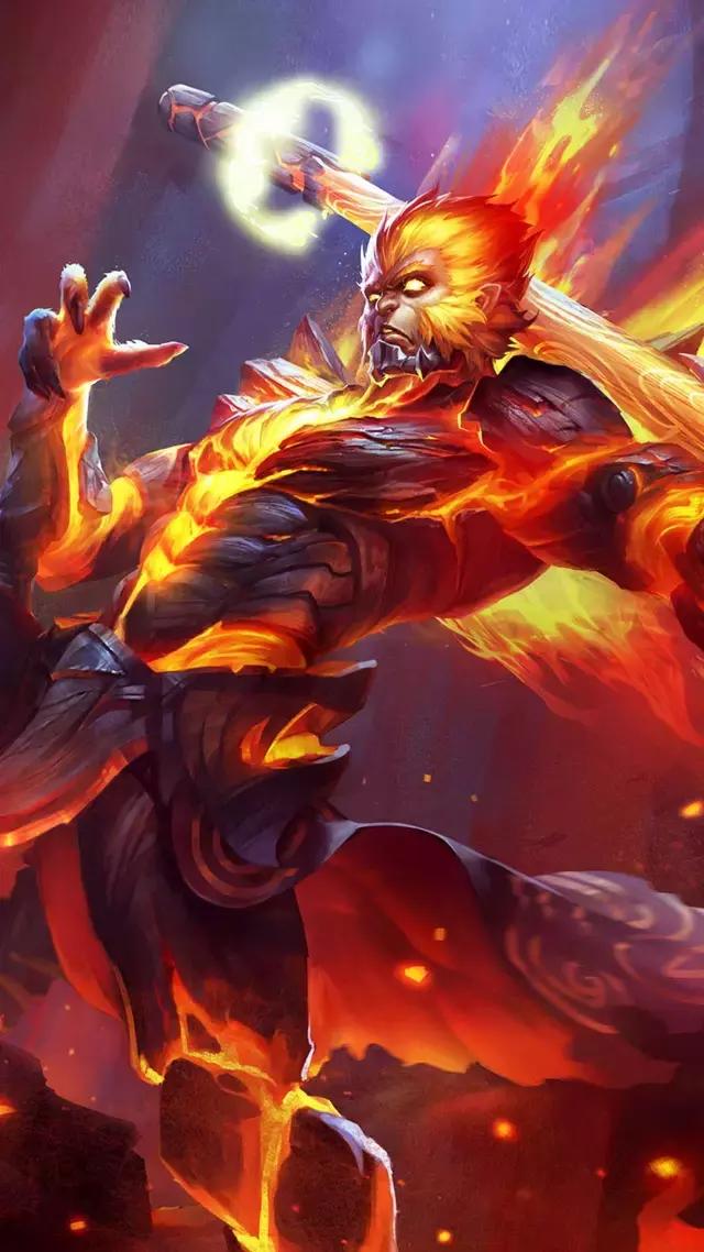 媒体关注的 媒体关注的